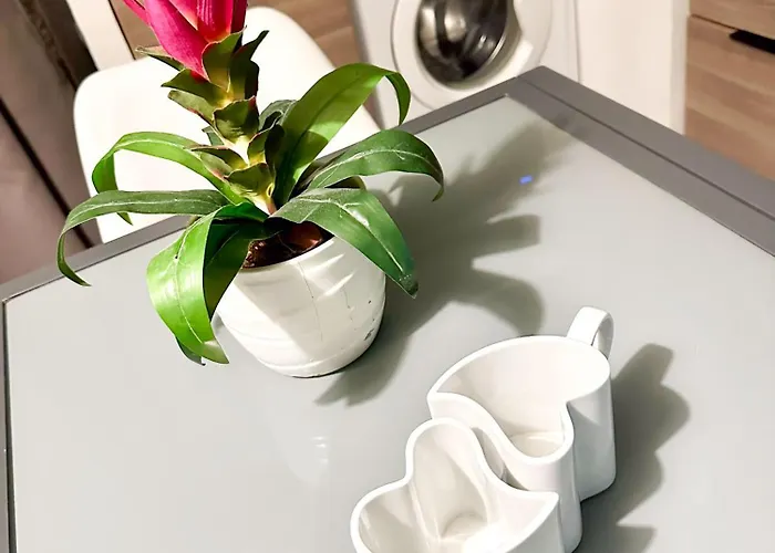 O Bijou Toulousaing 圖盧茲